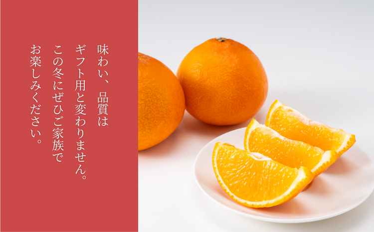【間もなく終了】紅まどんな 1.5kg (5～13個) ご家庭用 愛媛みかん 愛果28号 紅マドンナ まどんな マドンナ みかん ミカン 蜜柑 果物 くだもの フルーツ 柑橘 かんきつ 柑橘類 愛媛果試第28号 あいか おすすめ 人気 お取り寄せ 国産 愛媛 伊予市【数量限定】＜2025年12月発送＞｜B249