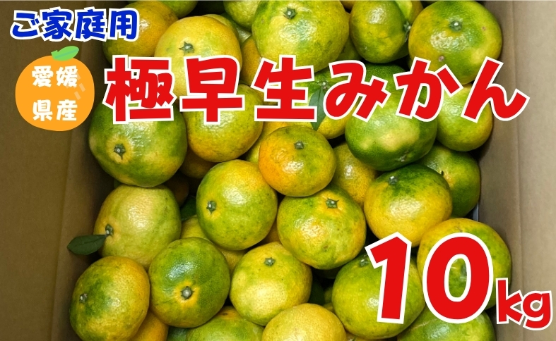 【2026年先行予約】 極早生みかん 10kg ご家庭用 農園直送 【10月上旬から順次発送予定】 愛媛 数量限定 愛媛県産 人気 柑橘 伊予市｜B254