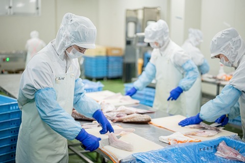 天然真鯛  刺身食べ比べセット 80g×3種×3パック 冷凍 鯛 タイ 刺身 白身魚 鮮魚 北風鮮魚 愛媛県 伊予市 | B402