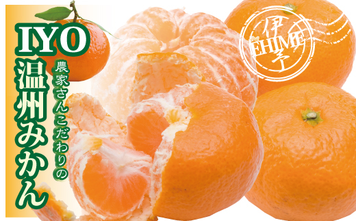 みかん 愛媛 早生みかん 約4kg 人気 数量限定 柑橘 伊予市｜B173