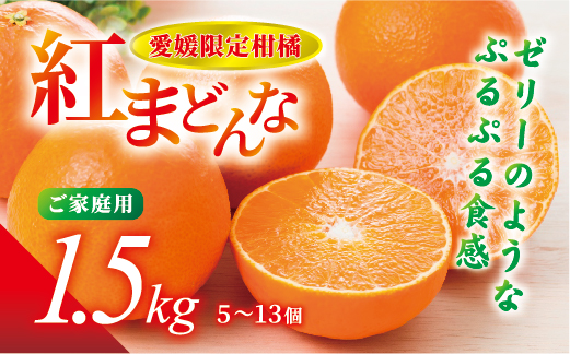 紅まどんな 愛媛 ご家庭用 1.5kg （5～13個）【先行予約】【数量限定】愛果28号 愛媛果試第28号 みかん 柑橘 人気 愛媛 伊予市＜2024年11月下旬～順次発送＞｜B249