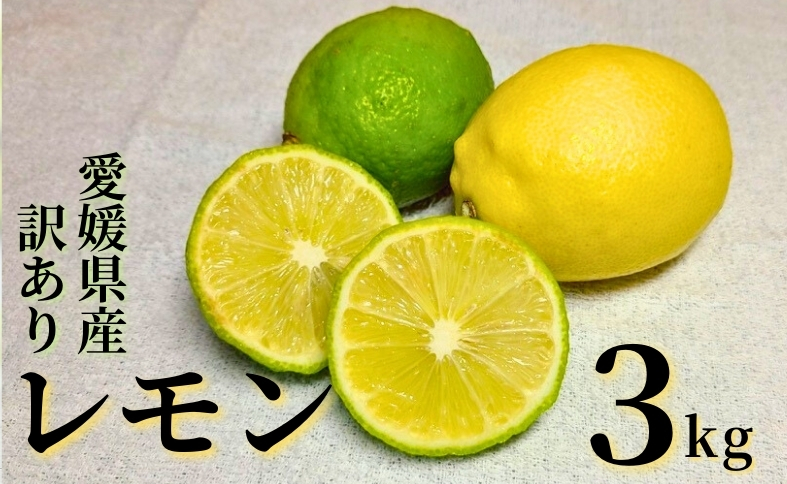 レモン 3kg ご家庭用 バラ詰め ユーレカ 愛媛 【2026年10月から順次発送予定】 数量限定 檸檬 柑橘 フルーツ ビタミン 国産 伊予市｜B459