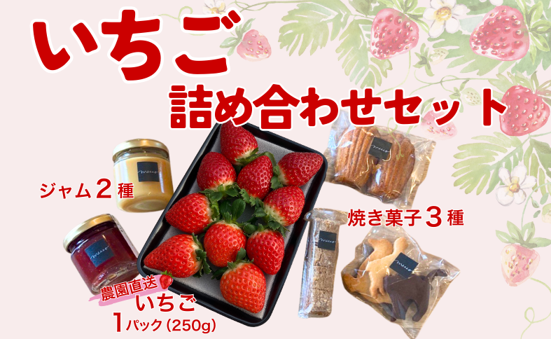 イチゴジャム 無添加 いちご くぼなか農園 ミルクジャム おまかせ焼き菓子 ギフト 数量限定 農園直送 愛媛  伊予市｜B200