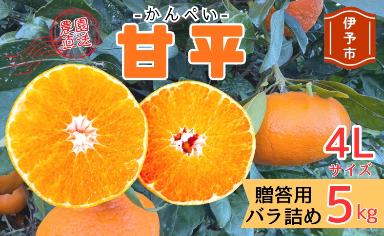 【2027年先行予約】みかん 甘平 5kg 4Lサイズ 贈答用 バラ詰め 【2027年2月上旬から順次発送予定】 農園直送 愛媛 数量限定 愛媛県産 人気 柑橘 伊予市｜C186