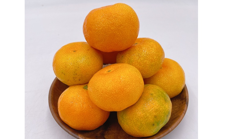 ハウスみかん ご家庭用 2kg 【7月下旬から順次発送予定】 みかん 人気 数量限定 柑橘 愛媛 伊予市｜B547