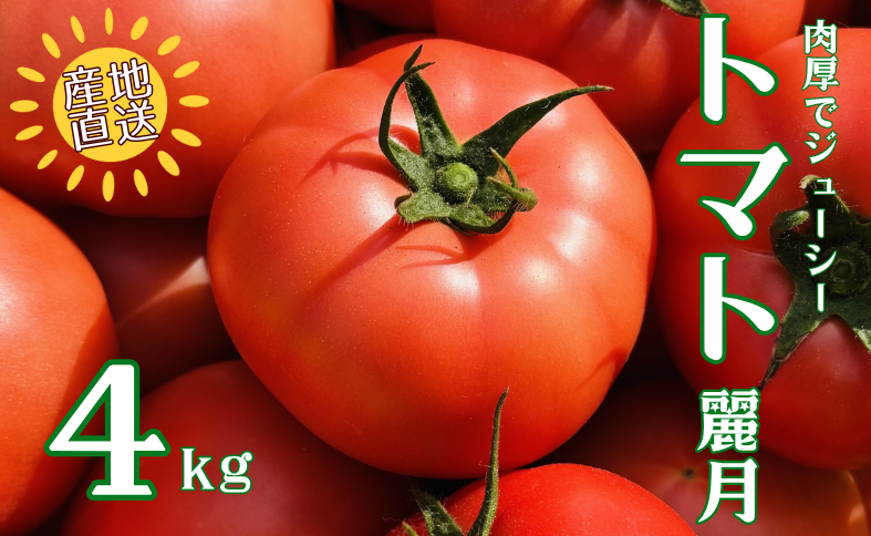 トマト 4kg 20玉〜28玉 麗月 産地直送 野菜 新鮮 サラダ 赤熟 くぼなか農園 愛媛 伊予市 | B362