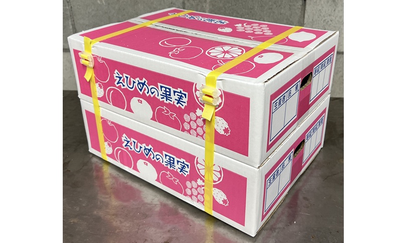 ææ28å· çŽ3.3kgÃ2ç®± ãå®¶åºçš ã¿ãã çŽ
ãŸã©ããªãšååçš® ææ© æåª ã2026幎11æäžæ¬ããé æ¬¡çºéäºå®ã å
è¡äºçŽ æ°ééå® äººæ° äŒäºåžïœC139