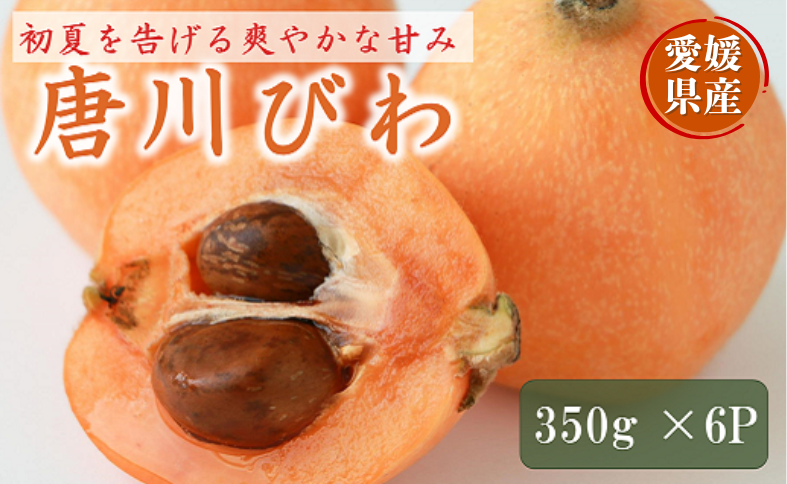 びわ 唐川びわ 先行予約 350g×6パック入り【2026年5月下旬以降発送】｜B124