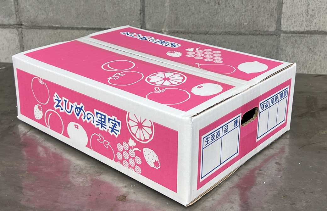 愛果28号 約3.3kg ご家庭用 みかん 紅まどんなと同品種 柑橘 愛媛 【2026年11月下旬から順次発送予定】 先行予約 数量限定 人気 伊予市｜B456