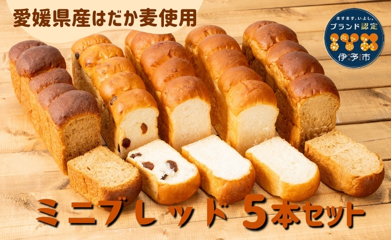 食パン 無添加 5本 六山 篠崎ベーカリー ミニサイズ 伊予市 老舗 ミニブレッド | B166
