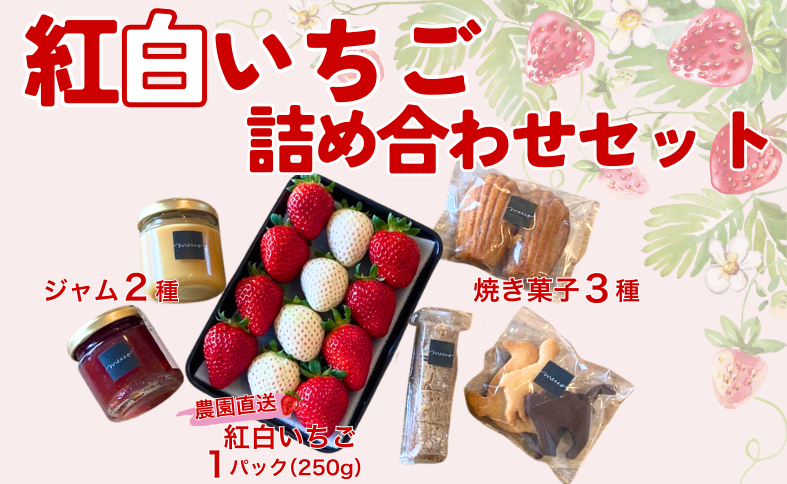 イチゴジャム 無添加 紅白いちご くぼなか農園 ミルクジャム おまかせ焼き菓子 ギフト 数量限定 農園直送 愛媛 人気 伊予市｜B208