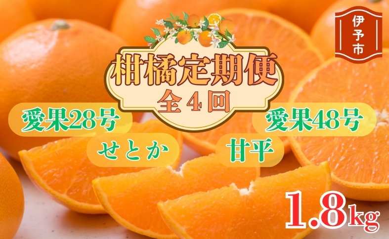【2026年先行予約】柑橘定期便 全4回 【12月から順次発送予定】 約1.8kg みかん 愛果28号 せとか 甘平 愛果48号 柑橘 定期 数量限定 人気 愛媛 伊予市｜E38
