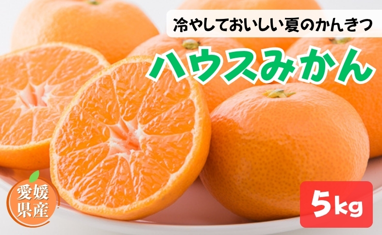 ハウスみかん ご家庭用 5kg 【7月下旬から順次発送予定】 みかん 人気 数量限定 柑橘 愛媛 伊予市｜D126