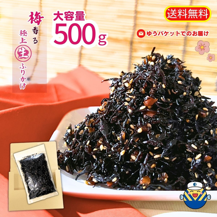 梅ひじき 500g×2 ふりかけ ソフトタイプ 生ふりかけ ご飯 ひじきご飯 オカベ｜B300