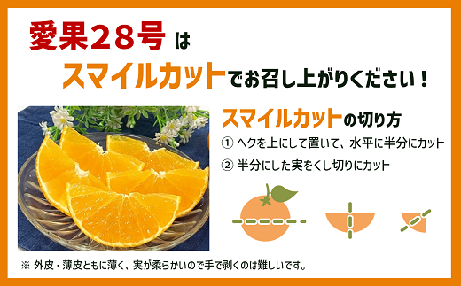 愛果28号 3kg 優品 みかん 愛媛【2024年12月発送】先行予約 数量限定 愛媛県産 人気 柑橘 伊予市｜B252