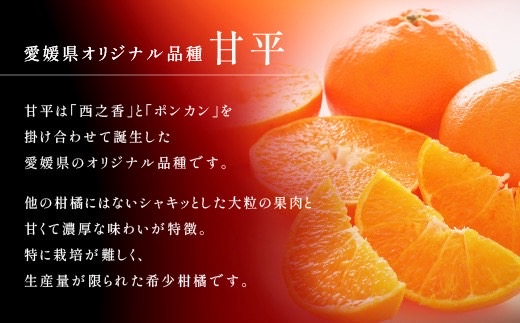 ã2027幎å
è¡äºçŽãçå¹³ ã¿ãã æåª çŽ3kg Mïœ3Lãµã€ãºæ··å æ°ééå® å
è¡äºçŽ ææ© äŒäºåžã2æäžæ¬ããé æ¬¡çºéäºå®ãïœB553