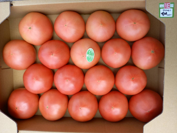 トマト 4kg 20玉〜28玉 麗月 産地直送 野菜 新鮮 サラダ 赤熟 くぼなか農園 愛媛 伊予市 | B362