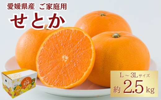 みかん 愛媛 せとか（約2.5kg）L〜3Lサイズ ご家庭用 バラ詰め 【2月中旬から順次発送予定】 人気 数量限定 先行予約 みきゃん箱 柑橘 伊予市｜B192