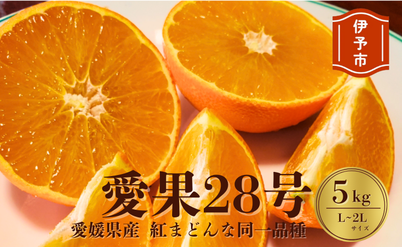【2026年先行予約】みかん 愛媛 愛果28号 5kg 紅まどんな同一品種 贈答用 L〜2L キャップ付き 人気 数量限定 先行予約 柑橘 伊予市 【2026年12月から順次発送予定】｜B84