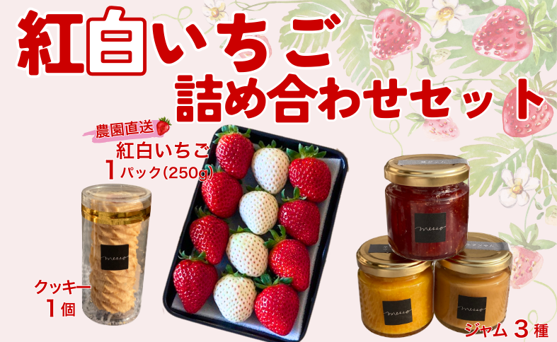 イチゴジャム 無添加 紅白いちご ミルクジャム 柑橘 マーマレード ロシアンクッキー くぼなか農園 数量限定 農園直送 愛媛 人気 伊予市｜B209