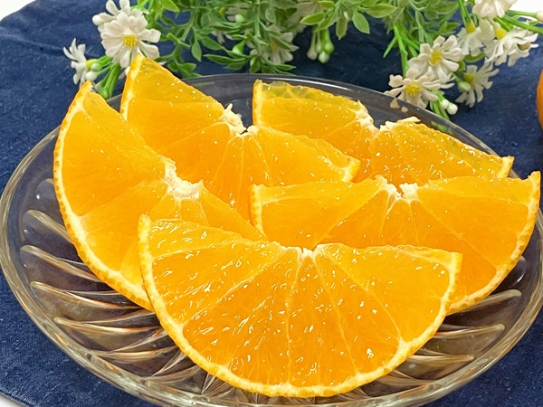 ã2026幎å
è¡äºçŽãææ28å· 2kg ã¿ãã çŽ
ãŸã©ããªãšåäžåçš® 蟲åçŽé ã12æäžæ¬ããé æ¬¡çºéäºå®ã æåª æ°ééå® æåªçç£ äººæ° ææ© äŒäºåžïœB333