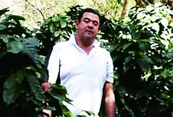 コーヒー 珈琲 飲料 コーヒー豆 200g ホンジュラス産 浅煎り 焙煎 無農薬 ホルヘさんのコーヒー カトラッチャコーヒー焙煎所 香り コク プレゼント ギフト 愛媛 伊予市｜B433