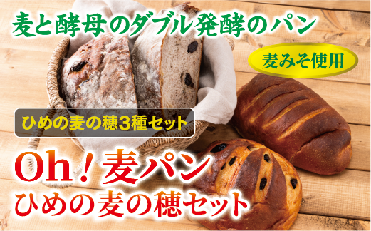 【愛媛県産大麦（はだか麦）使用】Ｏｈ！麦パン　ひめの麦の穂セット　パン　篠崎ベーカリー  伊予市 老舗 | A75