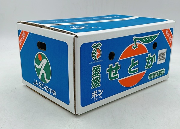 みかん 愛媛 せとか（約5kg）L〜3Lサイズ ご家庭用 バラ詰め 【2月中旬から順次発送予定】 人気 数量限定 先行予約 柑橘 伊予市｜B193
