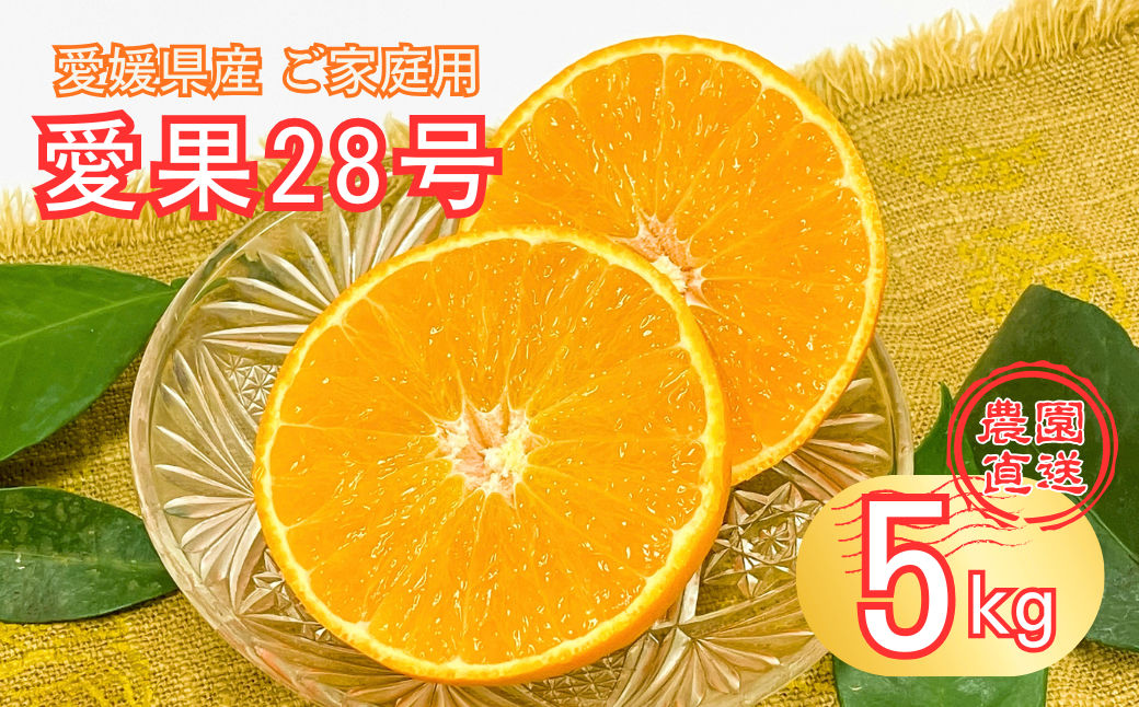 愛果28号 5kg 紅まどんな同一品種 バラ詰め ご家庭用 サイズミックス 農園直送 先行予約 12月発送 愛媛 数量限定 愛媛県産 人気 柑橘 伊予市｜B274