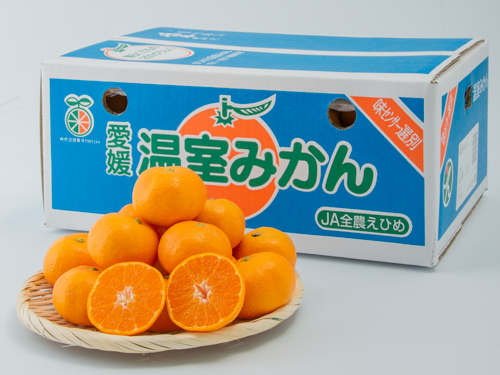 ハウスみかん ご家庭用 5kg 【7月下旬から順次発送予定】 みかん 人気 数量限定 柑橘 愛媛 伊予市｜D126
