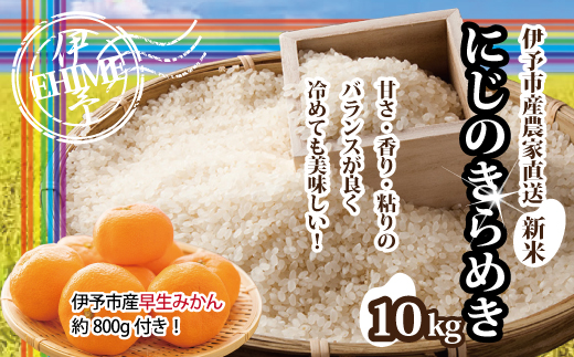 新米 にじのきらめき(5kg×2袋) 早生みかん(800ｇ×1個）セット 農家直送 精米 伊予市 愛媛県 | C147