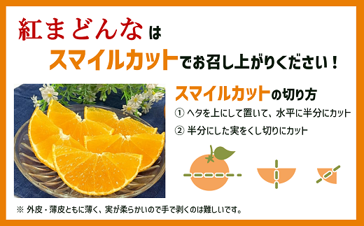 【2026年先行予約】みかん 愛果28号 8〜12玉 Lサイズ以上 贈答用 紅まどんな同一品種 【2026年12月以降順次発送予定】 愛媛 数量限定 愛媛県産 人気 柑橘 フルーツ 国産 おすすめ 伊予市｜C183