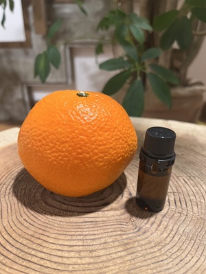 莨贋コ域汨 繧ィ繝繧サ繝ウ繧キ繝」繝ォ繧ェ繧、繝ォ 5ml 縺繧医°繧 繧「繝ュ繝槭が繧、繝ォ 邊セ豐ケ 繧「繝ュ繝 繧ェ繝シ繧ャ繝九ャ繧ッ 100シ螟ゥ辟カ讀咲黄邊セ豐ケ 螟ゥ辟カ 譌 諢帛ェ 繧ェ繧、繝ォ 逋偵@ 繧ー繝繧コ 鬥吶j 陌ォ髯、縺 蝗ス逕」 髮題イィ 閾ェ辟カス廝428