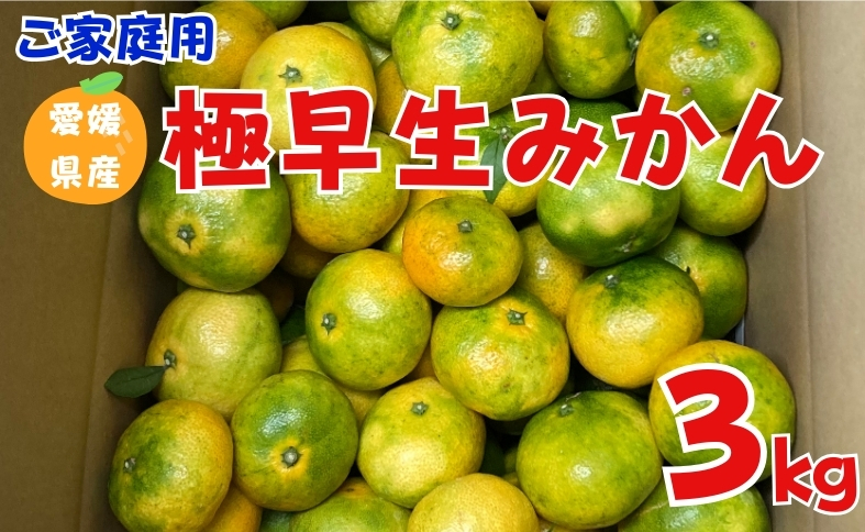 極早生みかん 3kg ご家庭用 農園直送 先行予約 【10月上旬から順次発送予定】 愛媛 数量限定 愛媛県産 人気 柑橘 伊予市｜A98