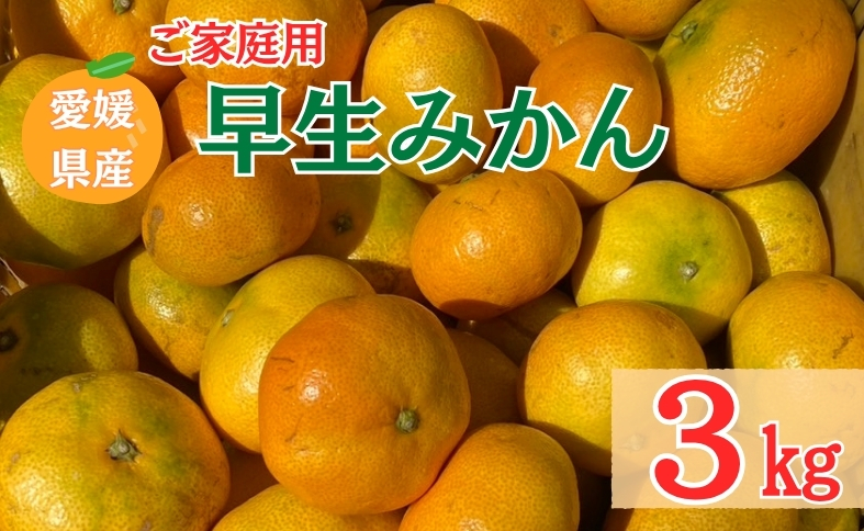 【2026年先行予約】 早生みかん 3kg ご家庭用 農園直送 【11月以降順次発送予定】 愛媛 数量限定 愛媛県産 人気 柑橘 伊予市｜A99
