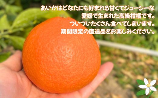 【2026年先行予約】愛果28号 3kg ご家庭用 みかん 愛媛 紅まどんなと同一品種 【2026年12月から順次発送】 先行予約 数量限定 愛媛県産 人気 柑橘 伊予市｜B246