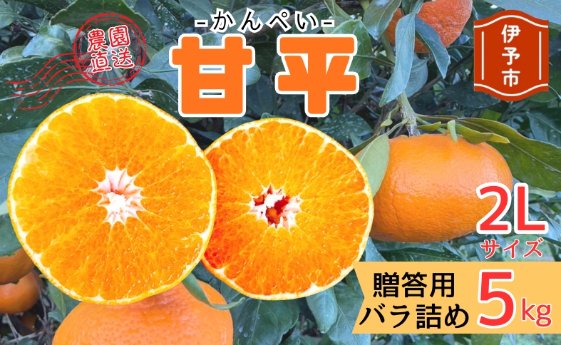 【2027年先行予約】みかん 甘平 5kg 2Lサイズ 贈答用 バラ詰め 【2027年2月上旬から順次発送予定】 農園直送 愛媛 数量限定 愛媛県産 人気 柑橘 伊予市｜C184