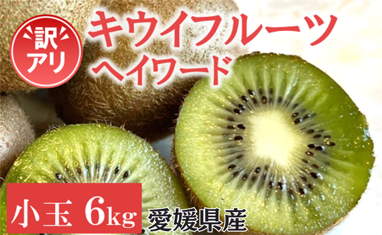 訳あり キウイ 6kg 小玉 愛媛 国産 キウイフルーツ 規格外 数量限定 伊予市 【2024年11月配送】｜B265