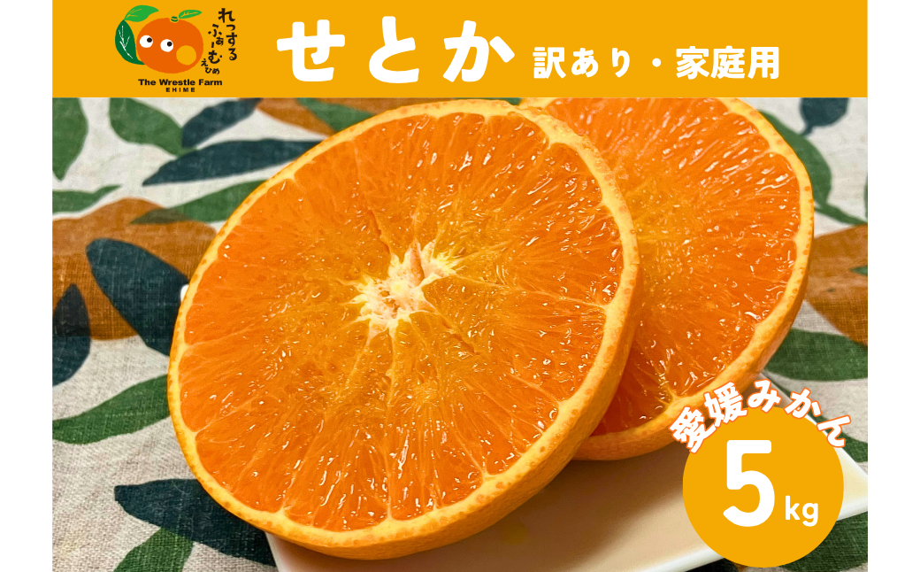 せとか（施設・露地）5kg ご家庭用 訳あり レッスルファーム みかん 愛媛【2026年1月下旬順次発送】先行予約 数量限定 おすすめ 美味しい おいしい グルメ フルーツ くだもの 愛媛県産 人気 柑橘 伊予市｜B420