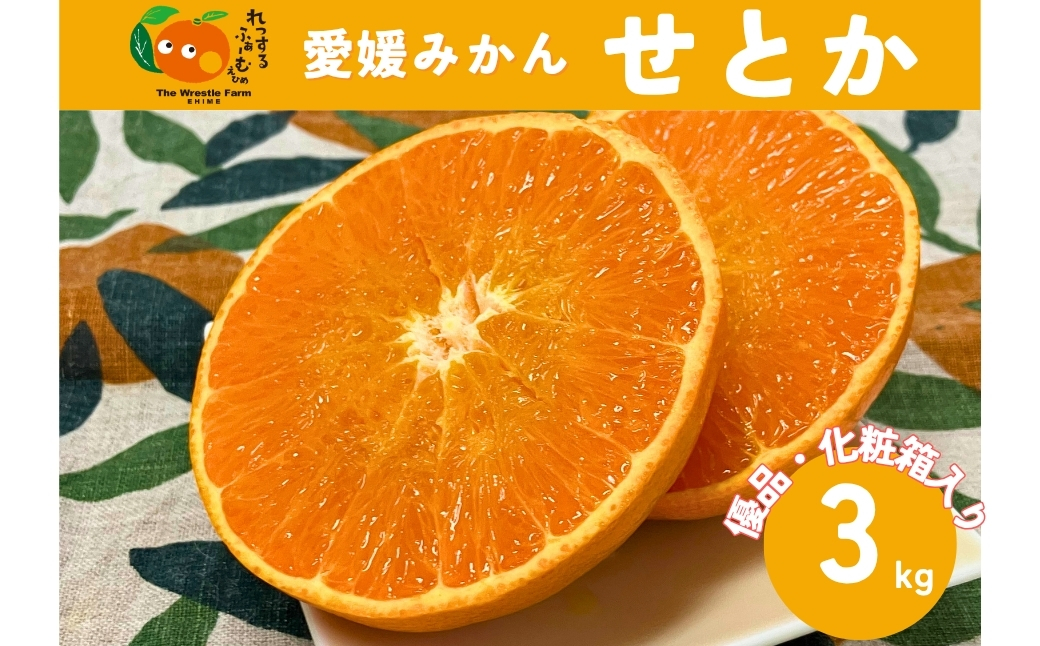 【2027年先行予約】みかん 愛媛県 せとか 3kg 優品 12～15個 レッスルファーム 【2027年1月中旬以降発送】 数量限定 おすすめ 美味しい おいしい グルメ フルーツ くだもの 愛媛県産 人気 柑橘 伊予市｜B258