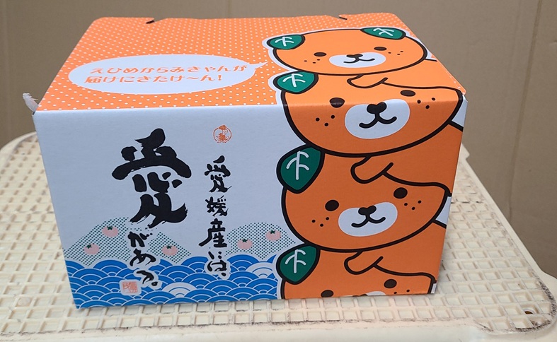 【2026年先行予約】レモン 愛媛 施設レモン ハウスレモン 2kg 【10月中旬から順次発送予定】数量限定 檸檬 柑橘 フルーツ ビタミン 池内果樹園 国産 伊予市｜A124