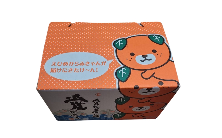 ã2027幎å
è¡äºçŽãããšã ã¿ãã æåª 2kg èŽççš äººæ° æ°ééå®ã2027幎1æäžæ¬ä»¥éçºéã ææ© æåªçç£ äŒäºåžïœB549