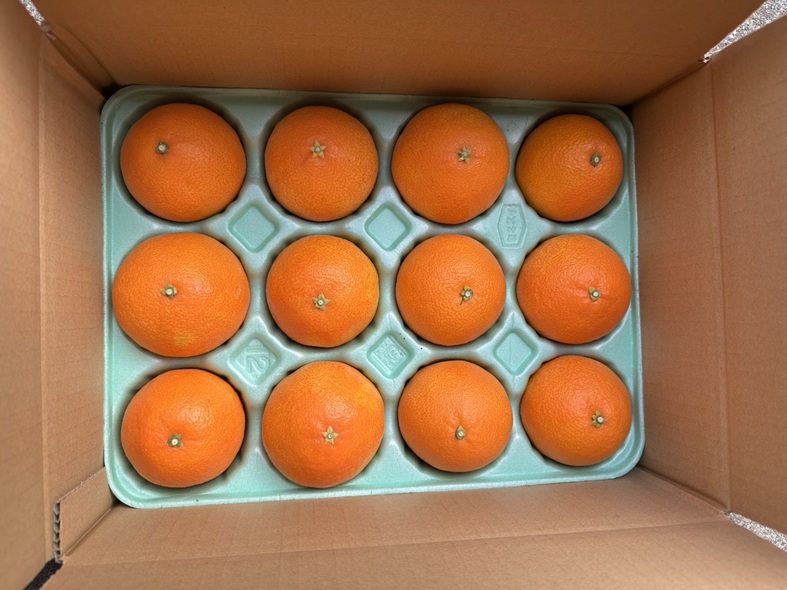 ã¿ãã ææ28å· Lãµã€ãº 12ç èŽççš çŽ
ãŸã©ããªãšåäžåçš® 蟲åçŽé å
è¡äºçŽ ã2026幎11æäžæ¬ããé æ¬¡çºéäºå®ã æåª æ°ééå® æåªçç£ äººæ° ææ© äŒäºåžïœ B531