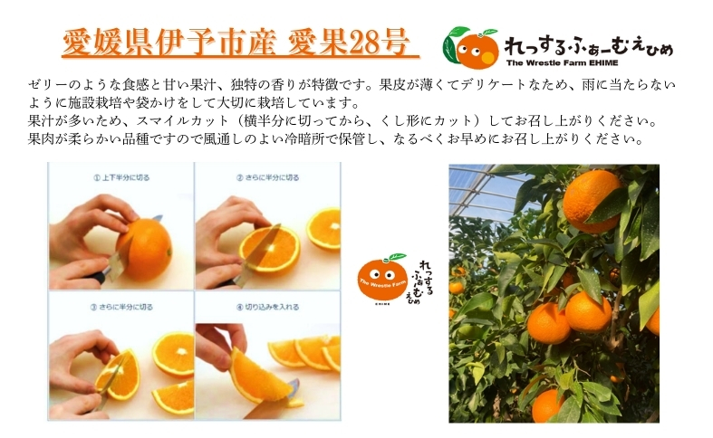 ã¿ãã æåªç ææ28å· 3kg åªå ã¬ãã¹ã«ãã¡ãŒã çŽ
ãŸã©ããªãšåäžåçš®ã2026幎11æäžæ¬ããé æ¬¡çºéäºå®ãå
è¡äºçŽ æ°ééå® ãåãå¯ã ãããã çŸå³ãã ãããã ã°ã«ã¡ ãã«ãŒã ãã ãã® æåªçç£ äººæ° ææ© äŒäºåžïœB252