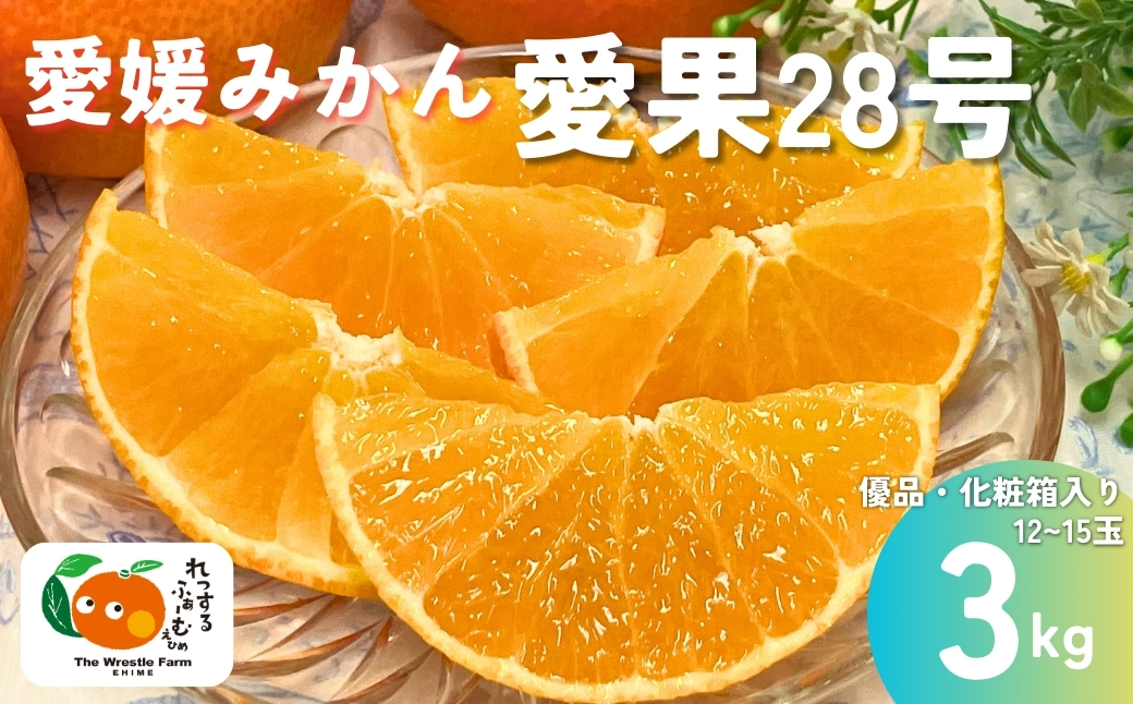 みかん 愛媛県 愛果28号 3kg 優品 レッスルファーム 紅まどんなと同一品種【2026年11月下旬から順次発送予定】先行予約 数量限定 お取り寄せ おすすめ 美味しい おいしい グルメ フルーツ くだもの 愛媛県産 人気 柑橘 伊予市｜B252