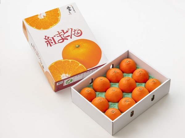 【2026年先行予約】えひめかんきつ定期便（全６回）柑橘 紅まどんな 日の丸みかん 伊予柑 デコポン せとか 河内晩柑  | F01