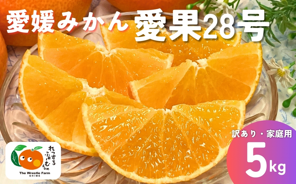 みかん 愛媛県 愛果28号 5kg ご家庭用 訳あり レッスルファーム 紅まどんなと同一品種【2026年11月下旬から順次発送予定】先行予約 数量限定 おすすめ 美味しい おいしい グルメ フルーツ くだもの 愛媛県産 人気 柑橘 伊予市｜B251