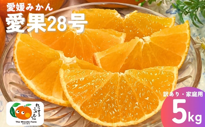 愛果28号 5kg ご家庭用 訳あり レッスルファーム みかん 紅まどんなと同一品種 愛媛【2025年12月中旬順次発送】先行予約 数量限定 おすすめ 美味しい おいしい グルメ フルーツ くだもの 愛媛県産 人気 柑橘 伊予市｜B251