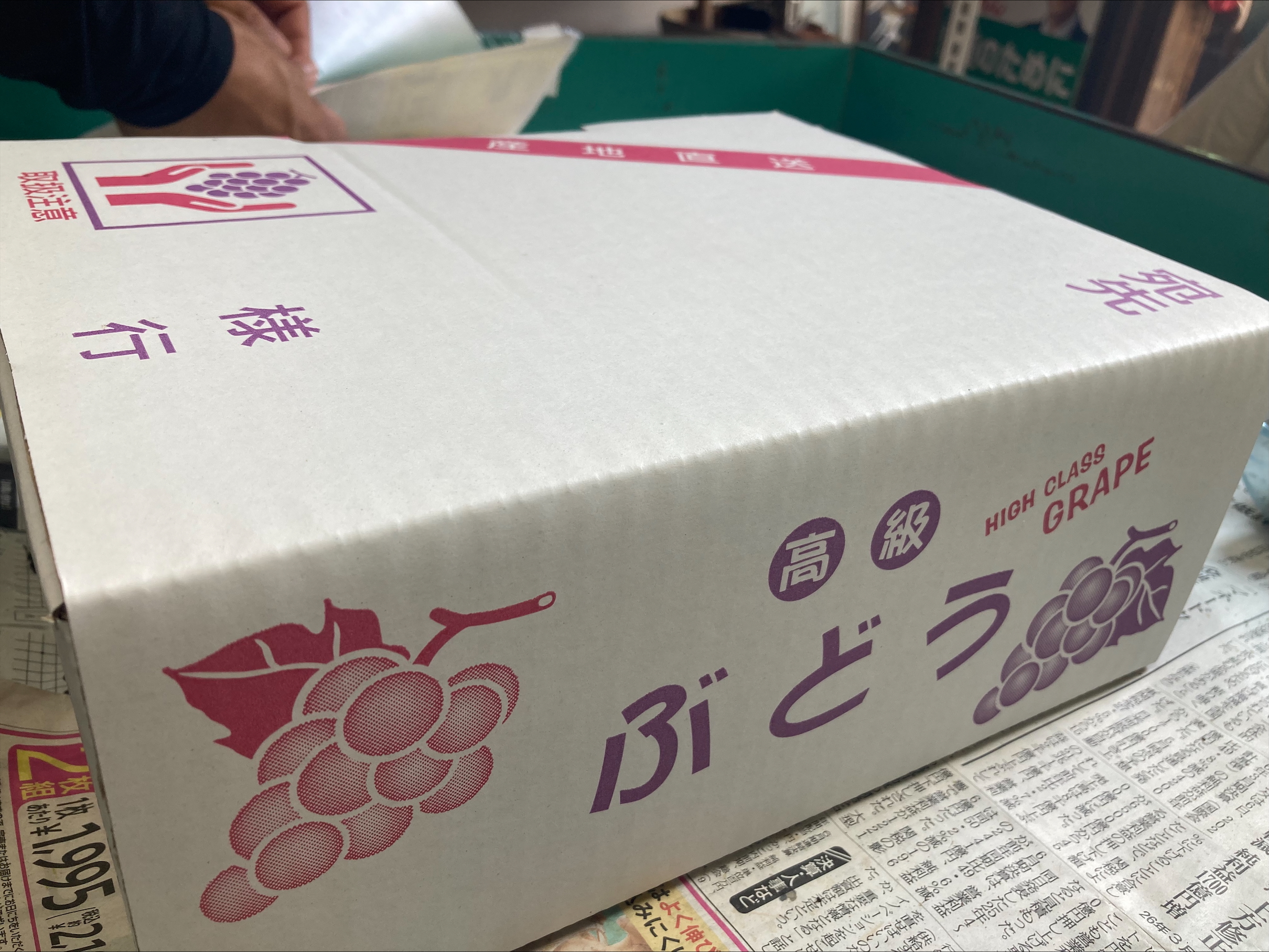 ニューピオーネ 約2kg 【2026年先行予約・2026年8月上旬から順次発送予定】 ぶどう 葡萄 種無し 果物 愛媛 人気 伊豫果園 伊予市｜B390