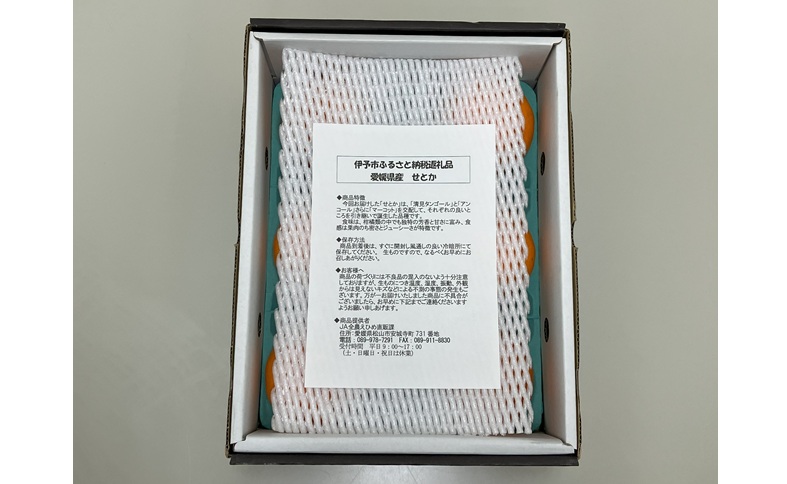 【2027年先行予約】みかん 愛媛 せとか (1.5kg) 人気 数量限定 【2027年2月下旬以降発送予定】 柑橘 愛媛 伊予市｜B30